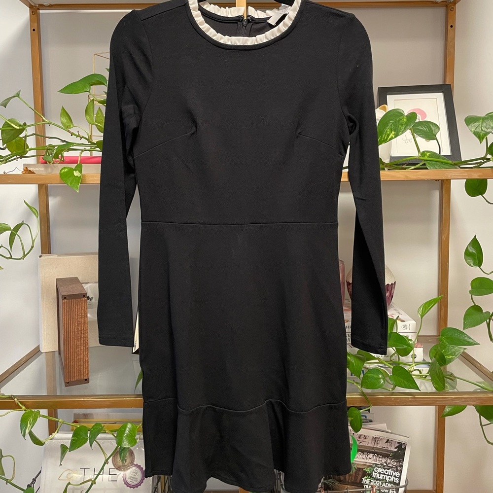 NWT Ann Taylor LOFT Petite Dress